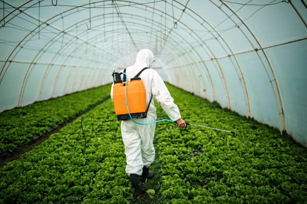 Best Affordable Pest Control Services  in Grayson Vley, AL
