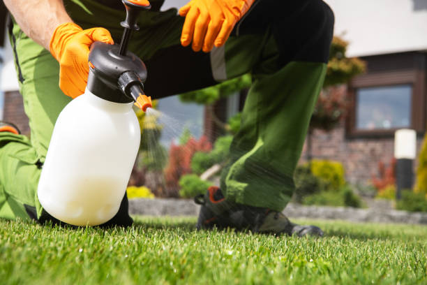 Best Emergency Pest Control  in Grayson Vley, AL