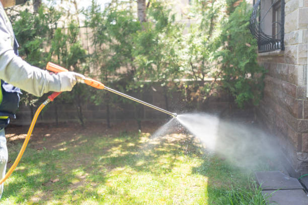 Best Local Pest Control Services  in Grayson Vley, AL