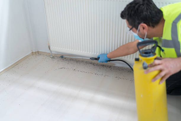 Professional Pest Control in Grayson Valley, AL